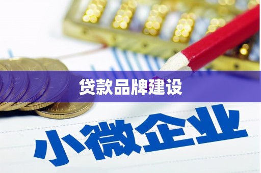 龙川贷款品牌建设