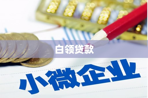 龙川白领贷款