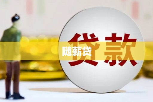 龙川随薪贷