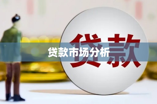 龙川贷款市场分析