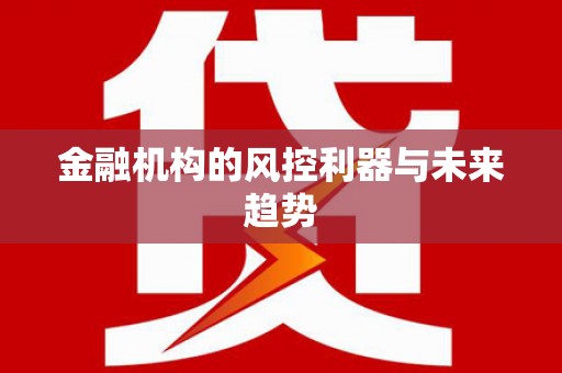龙川金融机构的风控利器与未来趋势