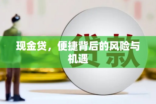 龙川现金贷，便捷背后的风险与机遇