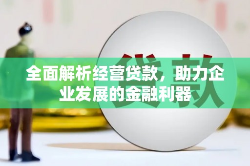 龙川全面解析经营贷款，助力企业发展的金融利器