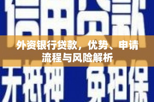 龙川外资银行贷款，优势、申请流程与风险解析