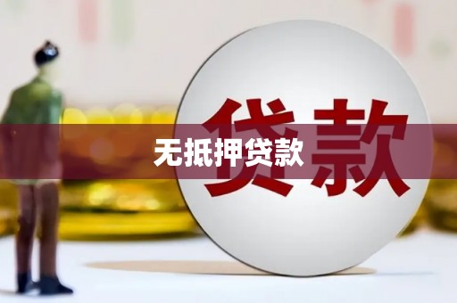 龙川无抵押贷款