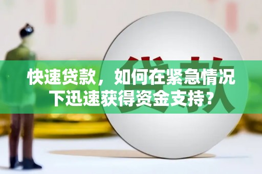 龙川快速贷款，如何在紧急情况下迅速获得资金支持？
