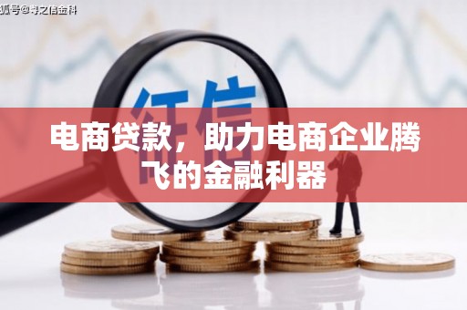 龙川电商贷款，助力电商企业腾飞的金融利器