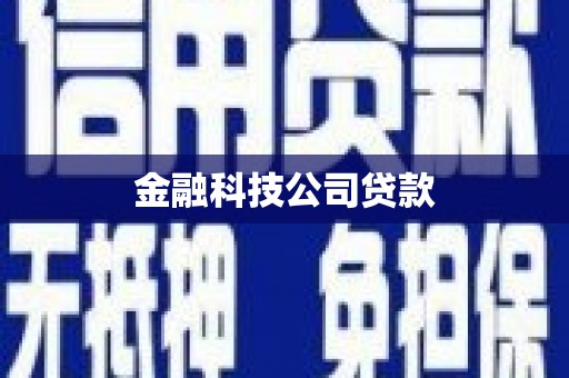 龙川金融科技公司贷款