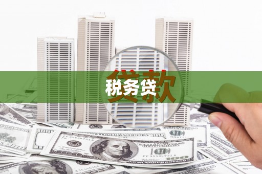 龙川税务贷