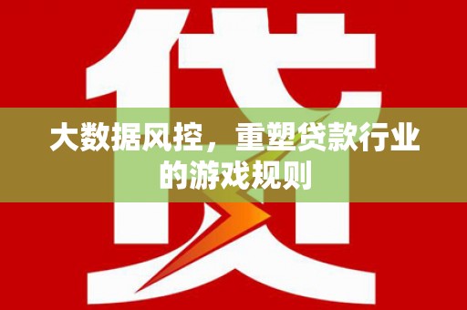 龙川大数据风控，重塑贷款行业的游戏规则