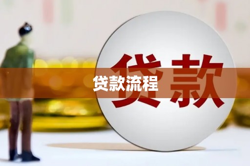 龙川贷款流程
