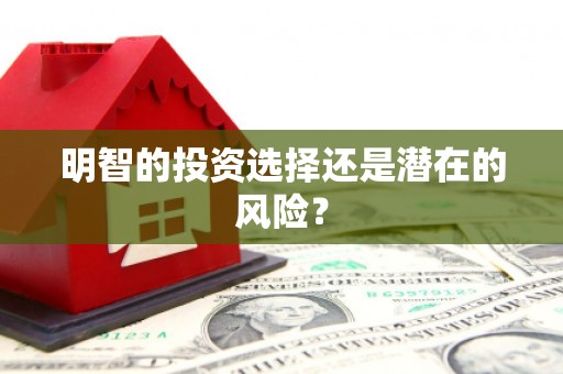 龙川明智的投资选择还是潜在的风险？
