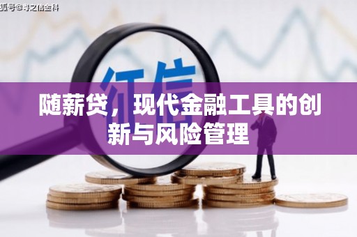 龙川随薪贷，现代金融工具的创新与风险管理