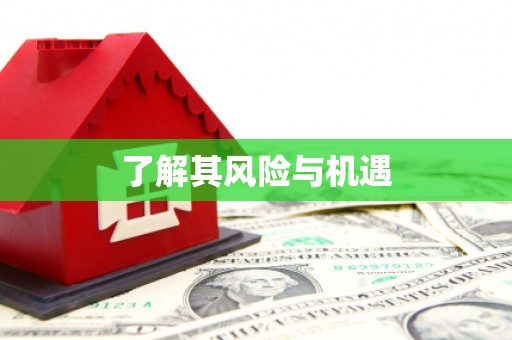 龙川了解其风险与机遇