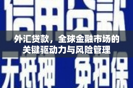 龙川外汇贷款，全球金融市场的关键驱动力与风险管理