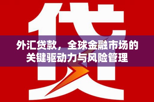 龙川外汇贷款，全球金融市场的关键驱动力与风险管理