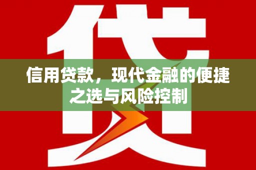 龙川信用贷款，现代金融的便捷之选与风险控制