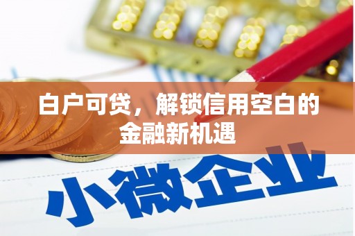 龙川白户可贷，解锁信用空白的金融新机遇