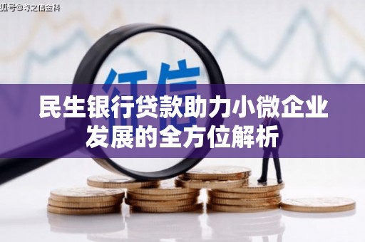 龙川民生银行贷款助力小微企业发展的全方位解析