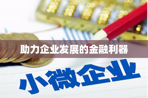 龙川助力企业发展的金融利器