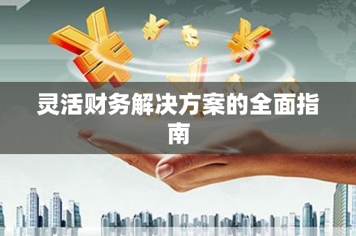 龙川灵活财务解决方案的全面指南