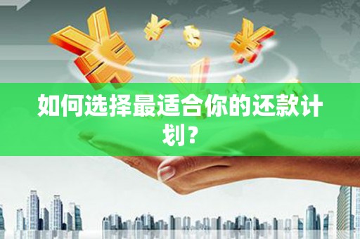 龙川如何选择最适合你的还款计划？