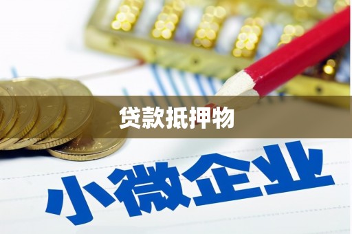 龙川贷款抵押物