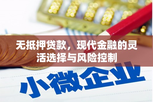 龙川无抵押贷款，现代金融的灵活选择与风险控制