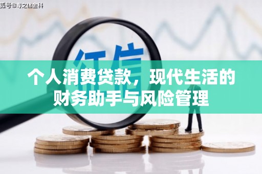 龙川个人消费贷款，现代生活的财务助手与风险管理
