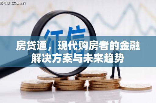 龙川房贷通，现代购房者的金融解决方案与未来趋势