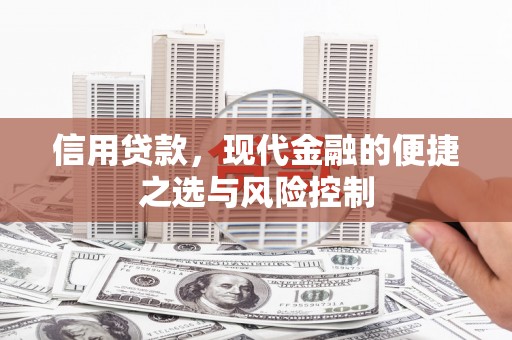 龙川信用贷款，现代金融的便捷之选与风险控制