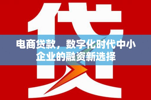 龙川电商贷款，数字化时代中小企业的融资新选择