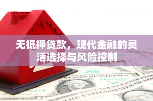 龙川无抵押贷款，现代金融的灵活选择与风险控制