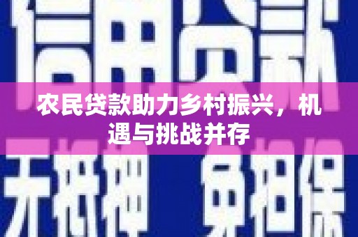 龙川农民贷款助力乡村振兴，机遇与挑战并存