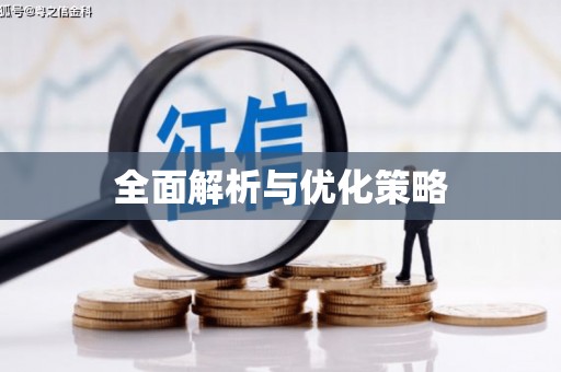 龙川全面解析与优化策略
