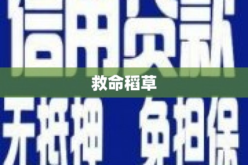 龙川救命稻草