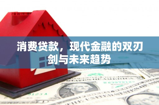 龙川消费贷款，现代金融的双刃剑与未来趋势