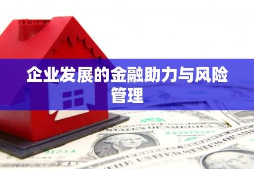 龙川企业发展的金融助力与风险管理