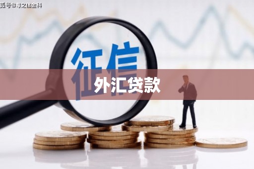 龙川外汇贷款