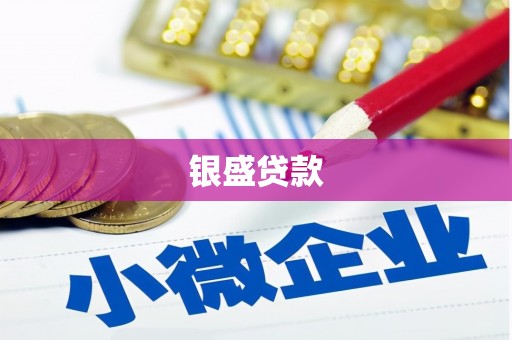 龙川银盛贷款