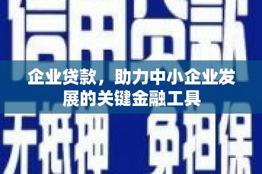 龙川企业贷款，助力中小企业发展的关键金融工具