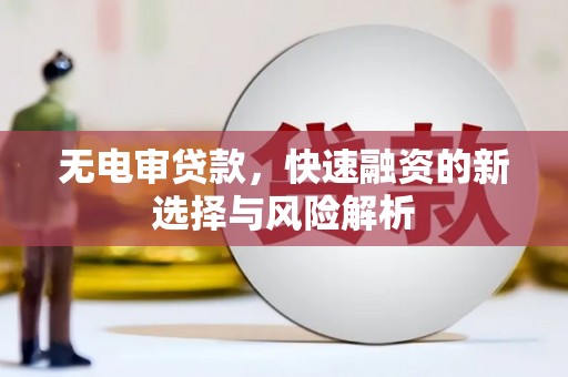 龙川无电审贷款，快速融资的新选择与风险解析