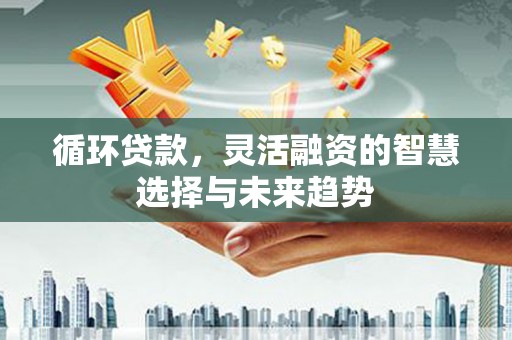 龙川循环贷款，灵活融资的智慧选择与未来趋势