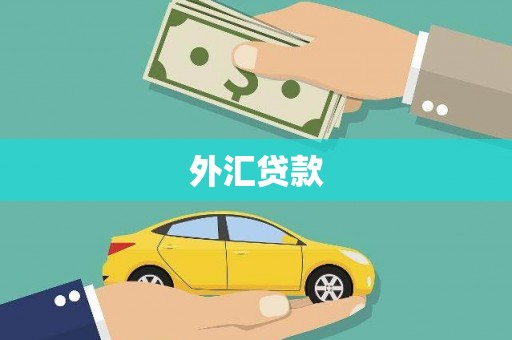 龙川外汇贷款