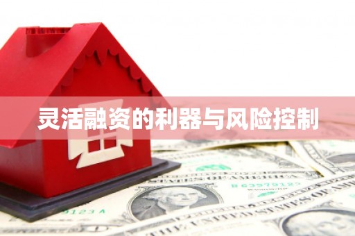 龙川灵活融资的利器与风险控制