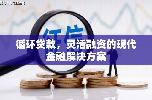 龙川循环贷款，灵活融资的现代金融解决方案
