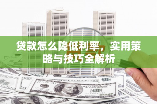 龙川贷款怎么降低利率，实用策略与技巧全解析