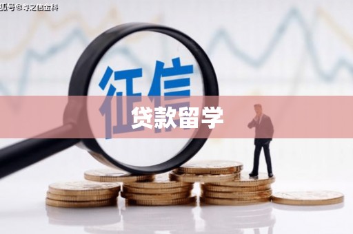 龙川贷款留学