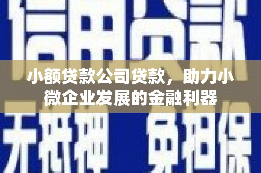 龙川小额贷款公司贷款，助力小微企业发展的金融利器