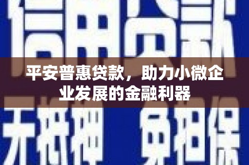 龙川平安普惠贷款，助力小微企业发展的金融利器